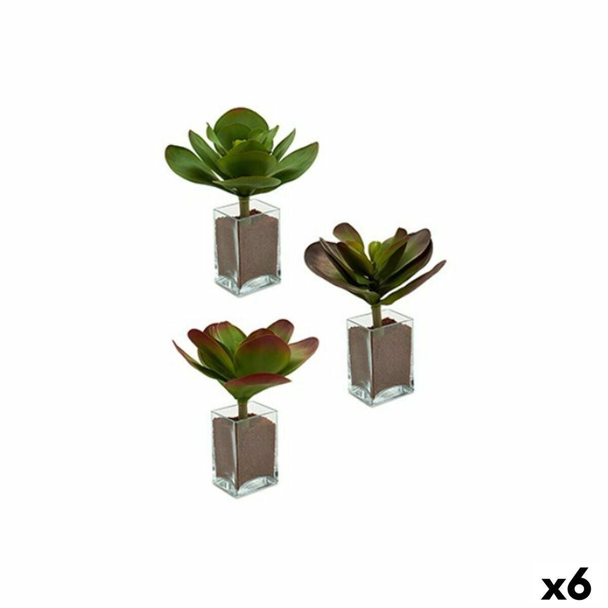 Planta Decorativa Ibergarden Plástico Hojas Grande 27 x 29 x 27 cm Bicolor (6 Unidades)