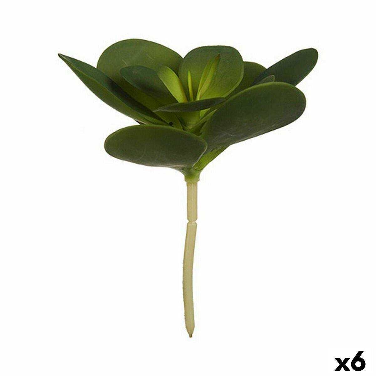 Planta Decorativa Ibergarden Plástico Hojas Redonda 18 x 23 x 18 cm (6 Unidades)