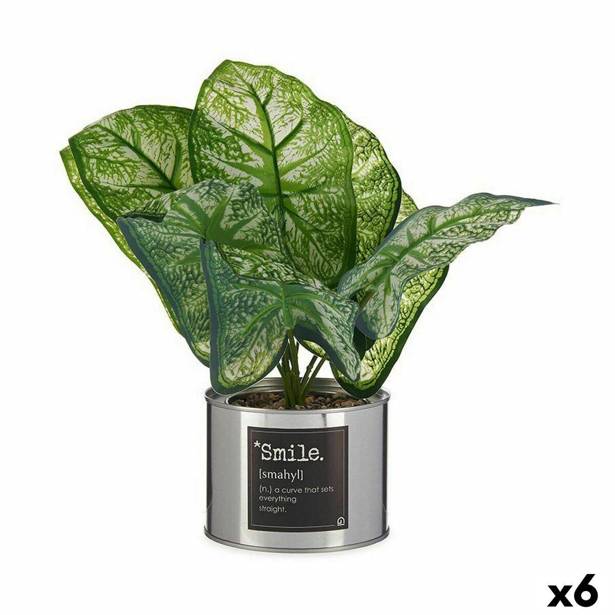 Planta Decorativa Ibergarden Metal Plástico Caladio 26 x 26 x 26 cm (6 Unidades)