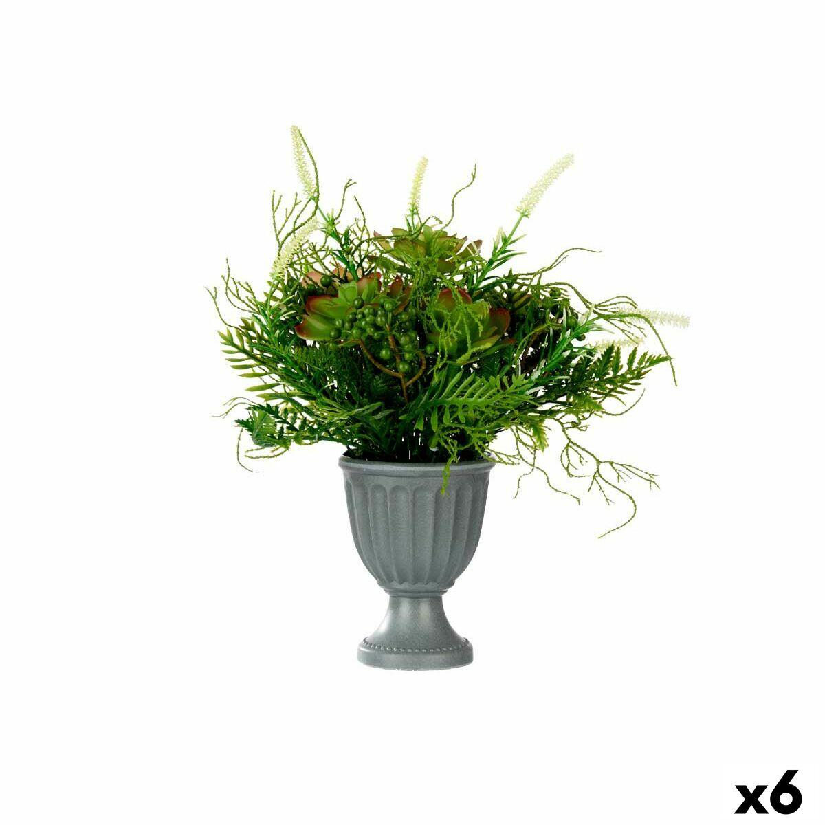 Planta Decorativa Ibergarden Plástico Copa 21 x 30 x 21 cm 34 x 39,5 x 34 cm (6 Unidades)