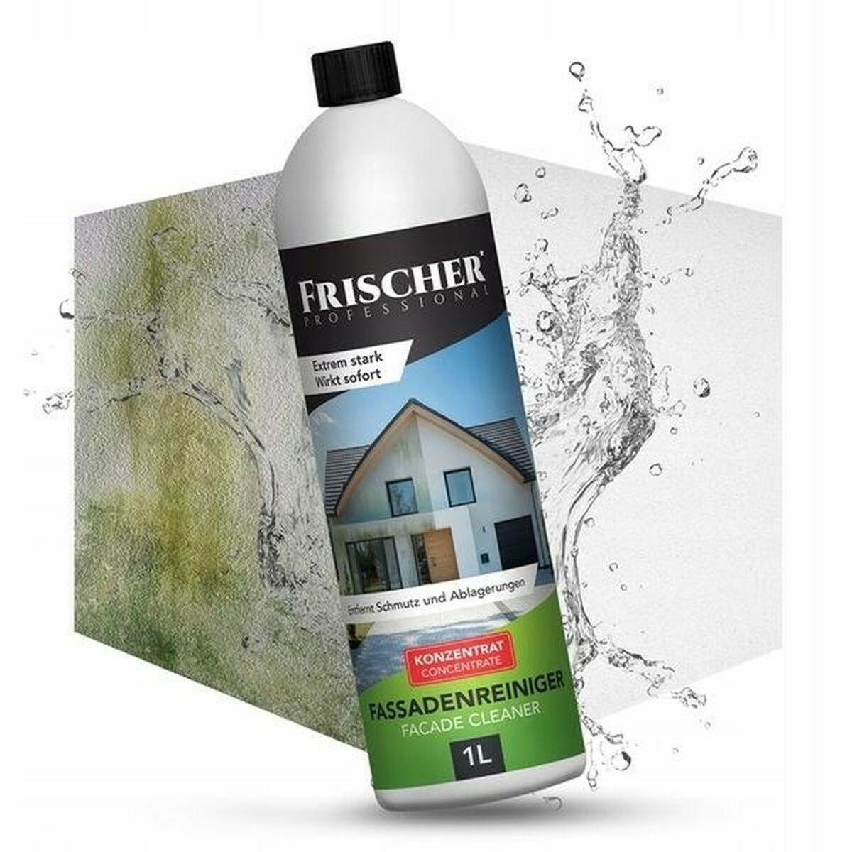 Aspirador Limpiacristales Frischer