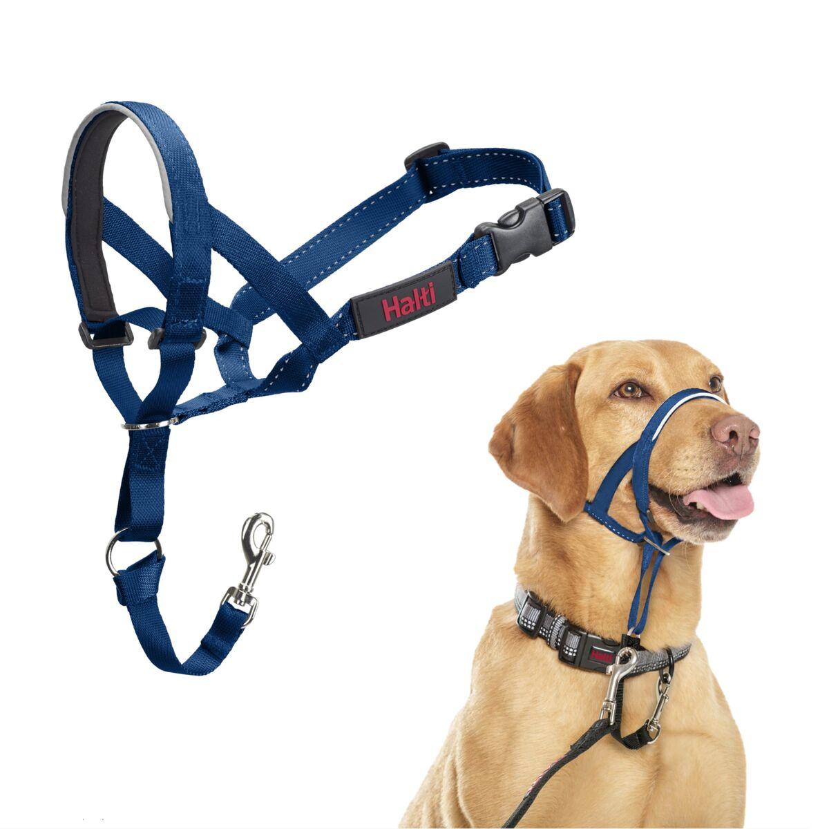 Bozal Company of Animals COBALT Azul 3