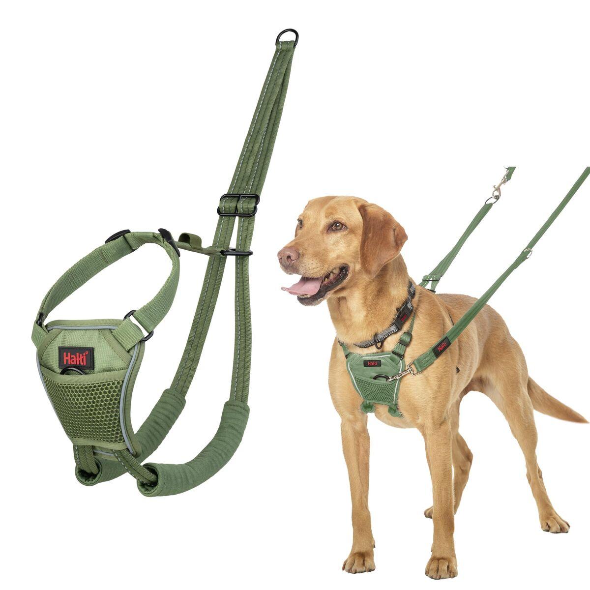 Arnés para Perro Company of Animals FOREST Verde 12