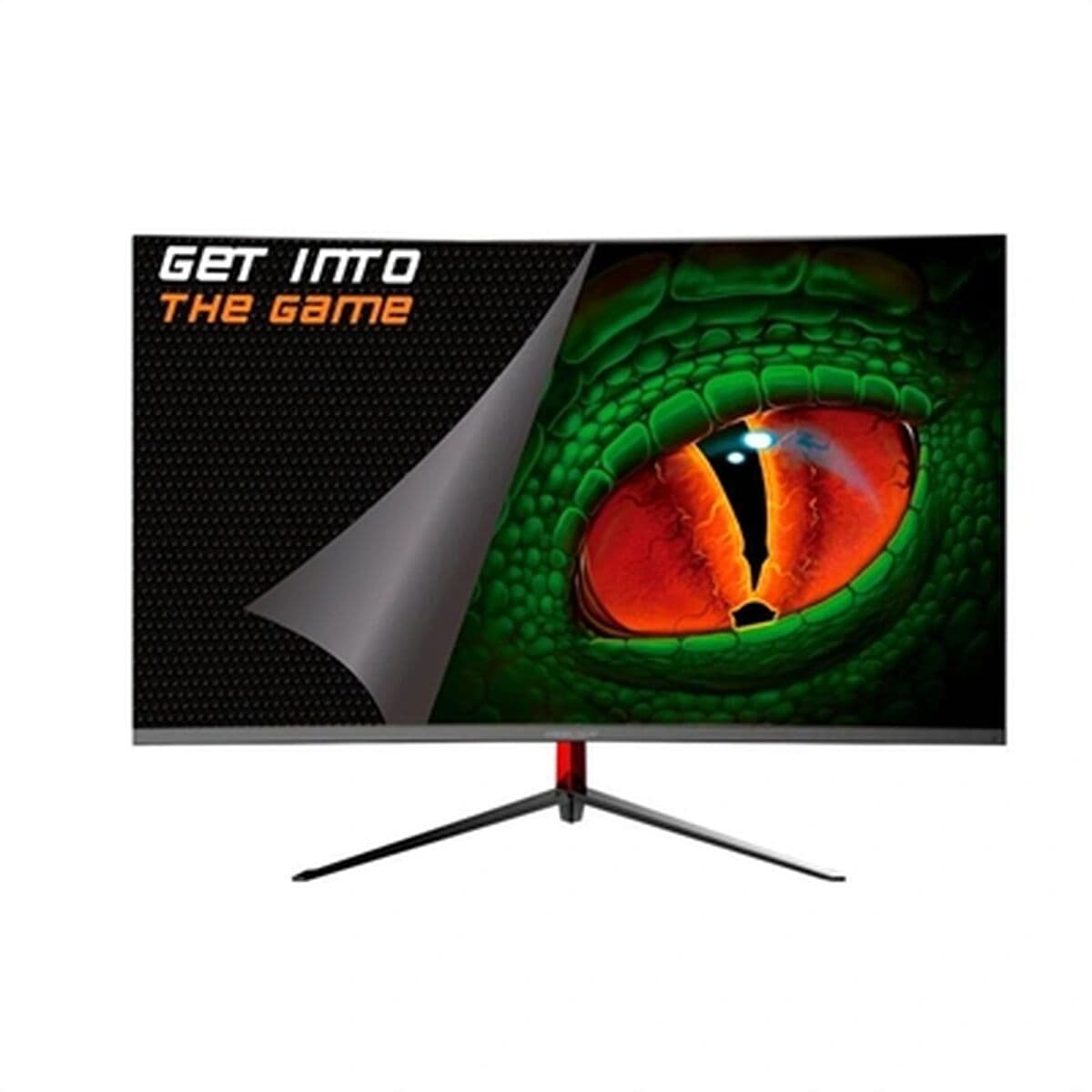 BigBuy #936619