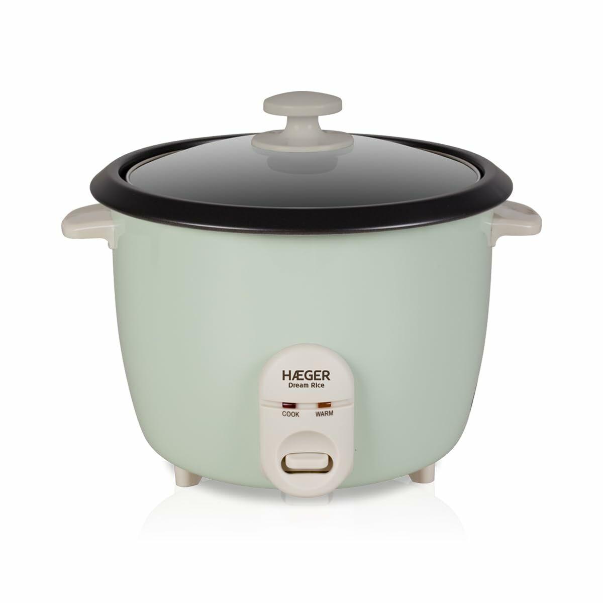 Arrocera Haeger RC-18L.002A Verde Acero Inoxidable Plástico 50 W