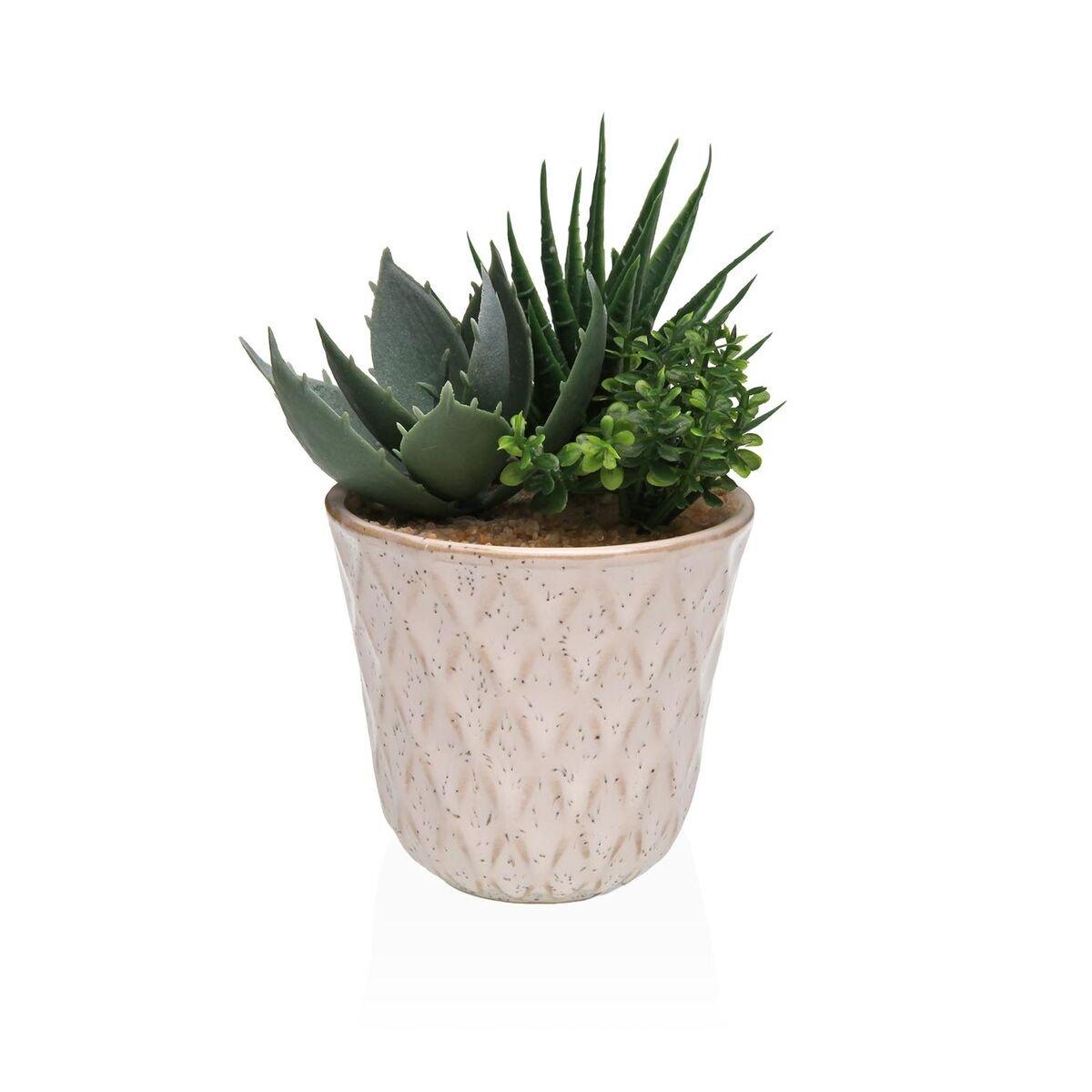 Planta Decorativa Versa Cerámica Plástico Fusion Suculenta 7,8 X 14 X 7,8 CM