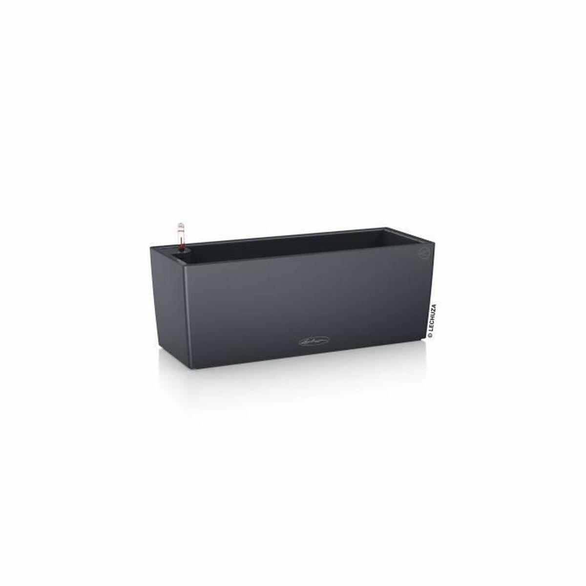 Maceta Lechuza Negro Gris Polipropileno