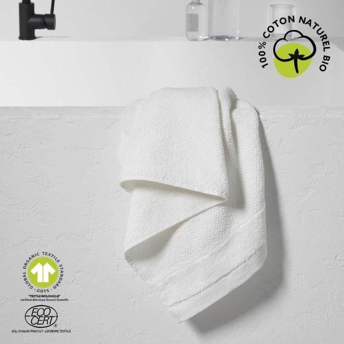 Juego de Toallas TODAY