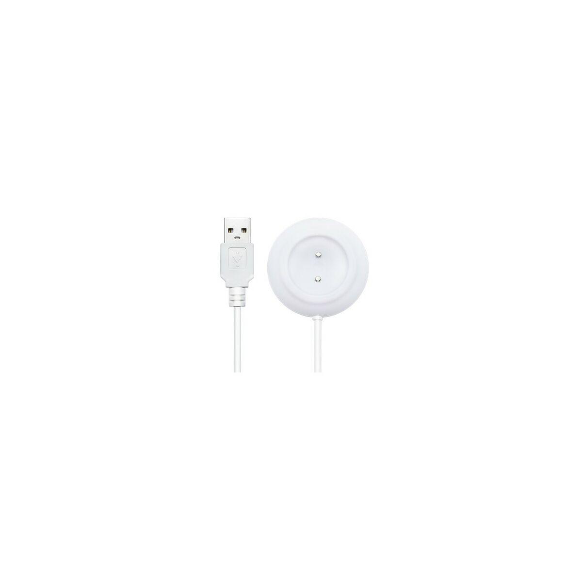 Cargador Magnético USB Lovense