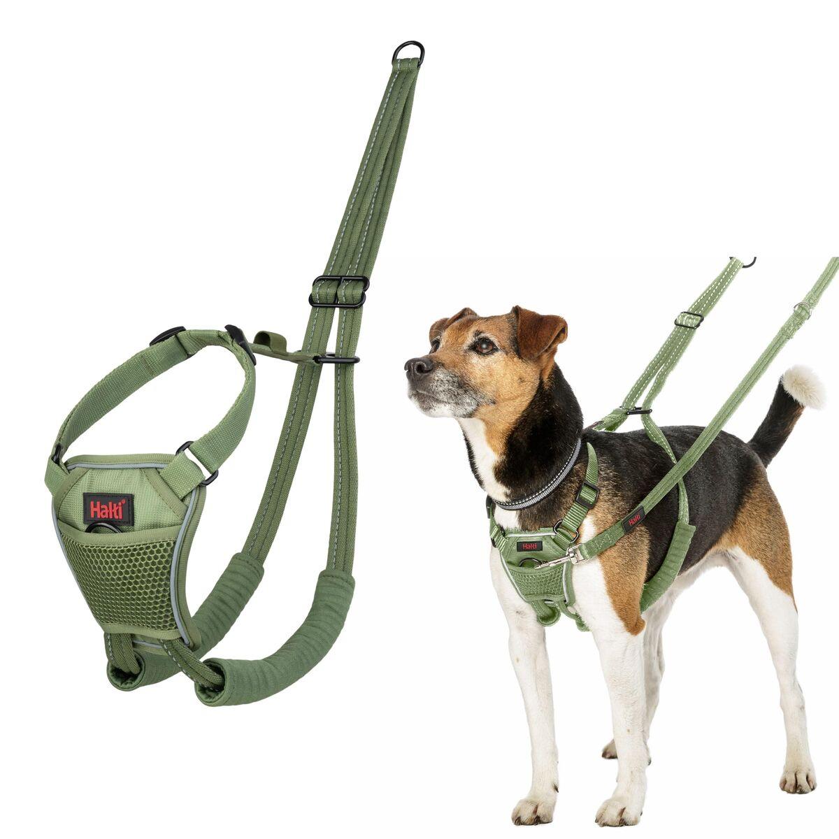 Arnés para Perro Company of Animals FOREST Verde 20