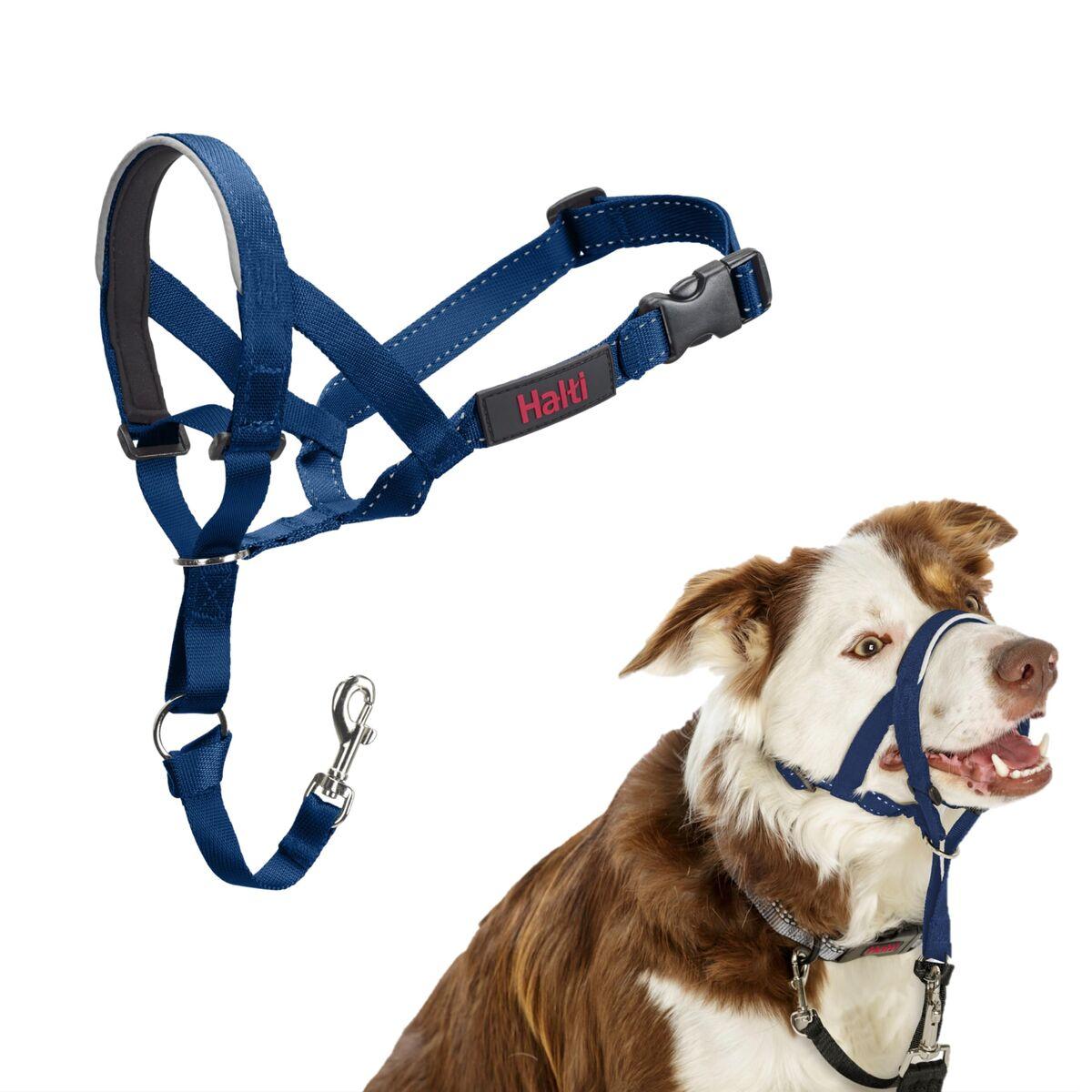 Bozal Company of Animals COBALT Azul 2