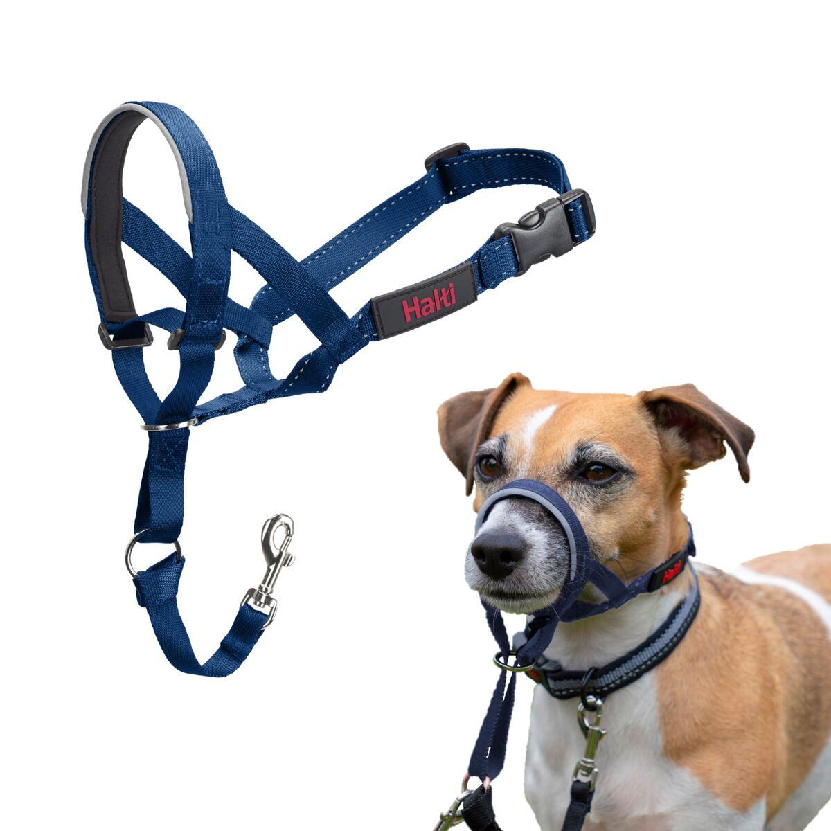 Bozal Company of Animals COBALT Azul Talla 1