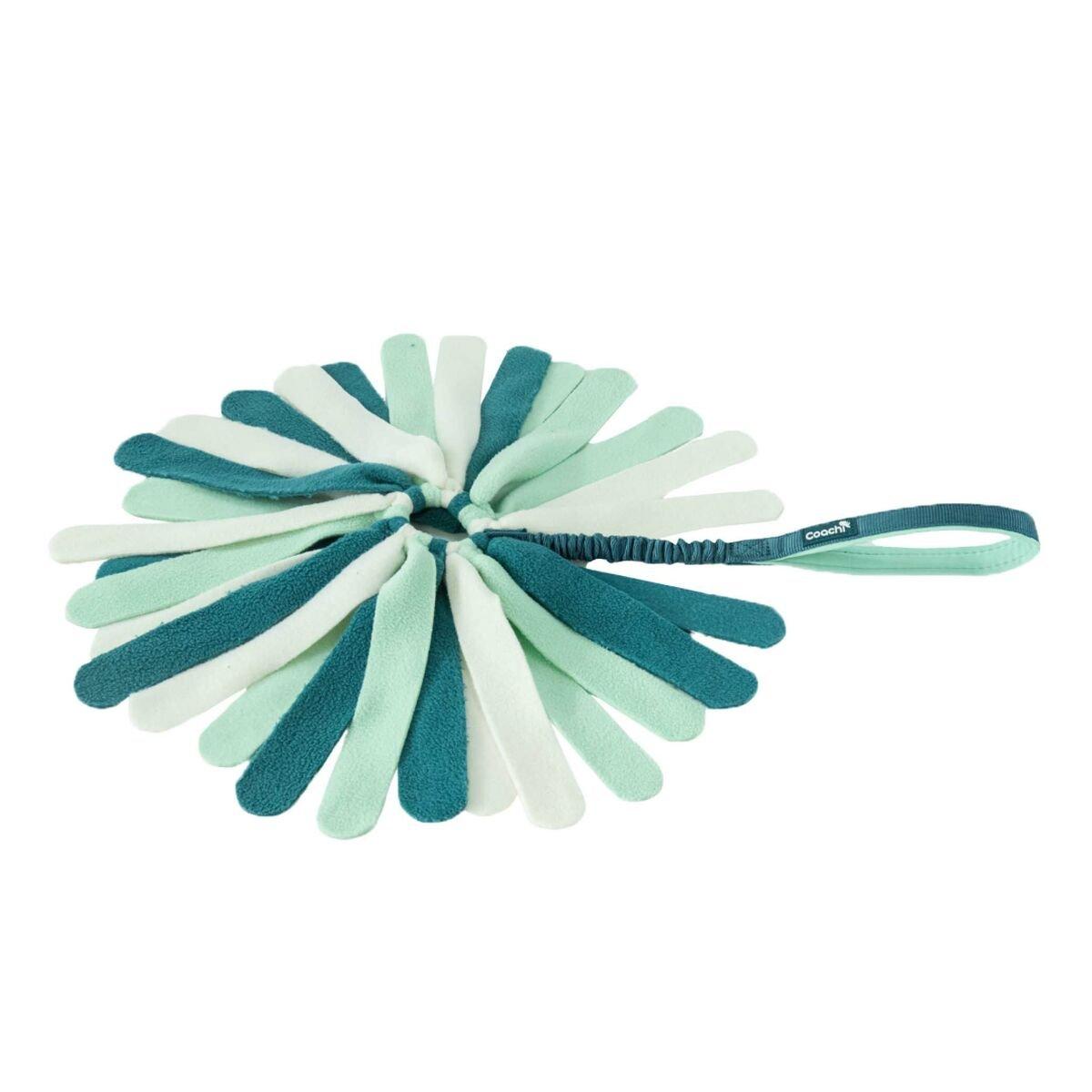 Juguete para perros Coachi PUPPY & MINI TUGGI SPIDER Verde