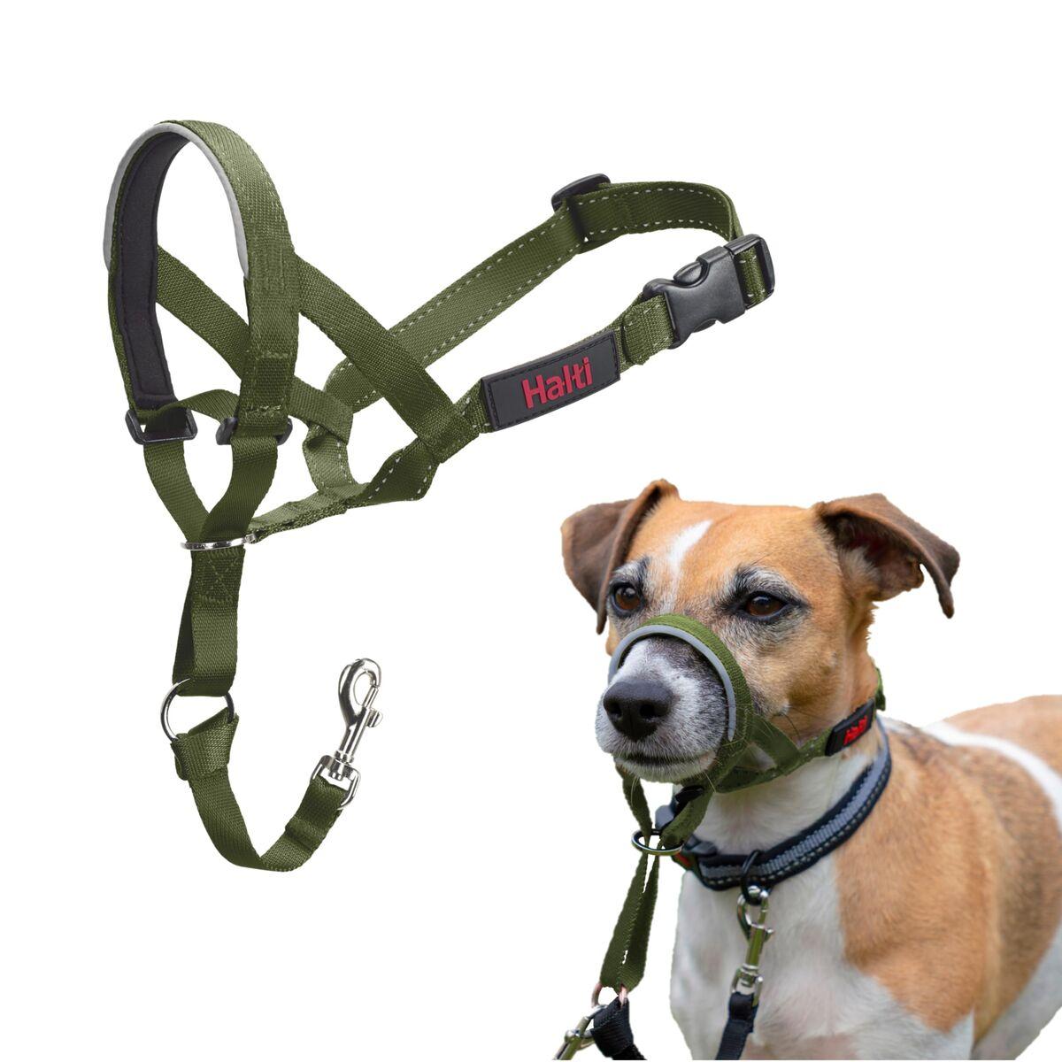 Bozal Company of Animals FOREST Verde Talla 1