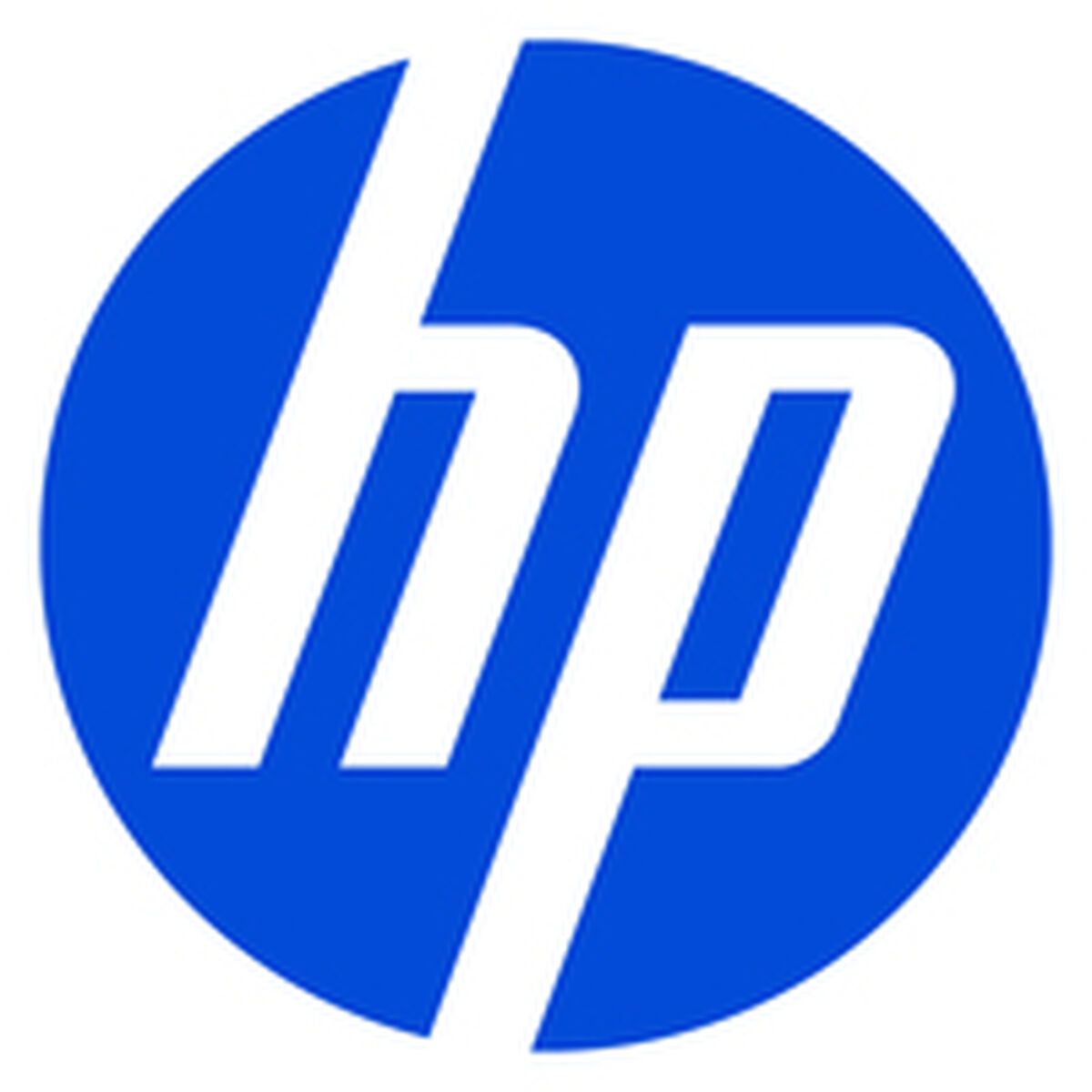 Tarjeta Gráfica HP AV8J4AA