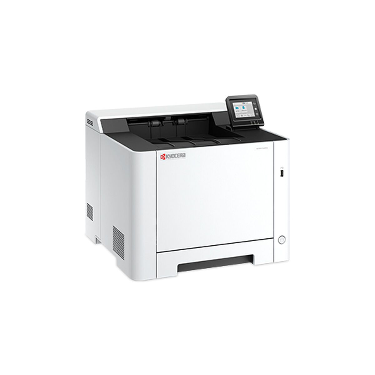 Impresora Láser Kyocera 110C253NL0