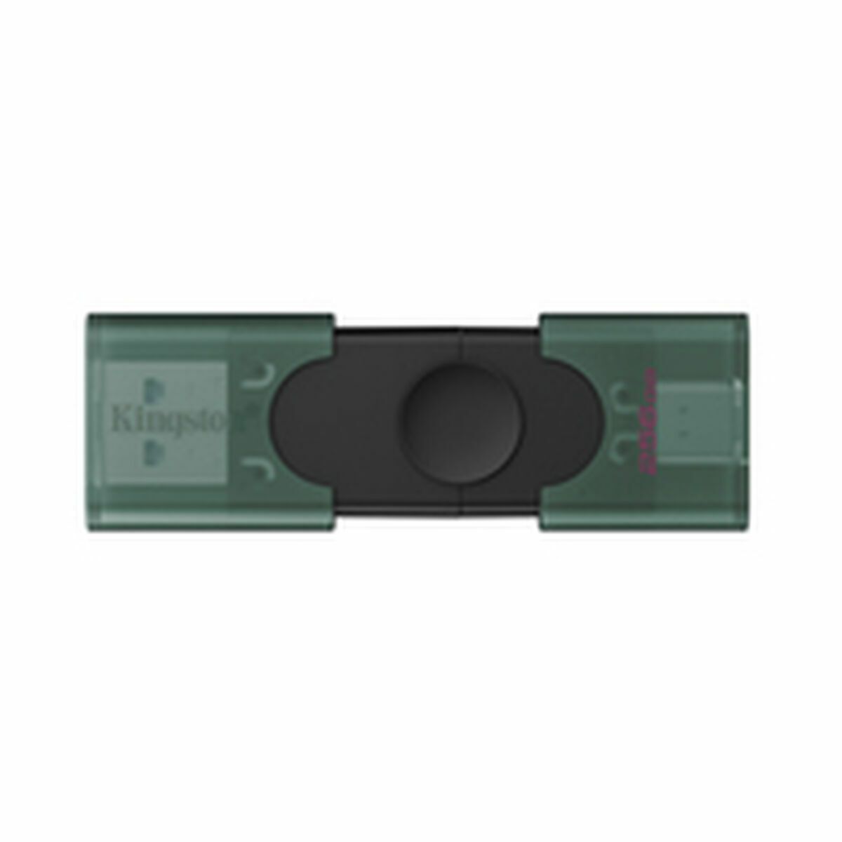 Memoria USB Kingston DTDEG2/256GB 256 GB