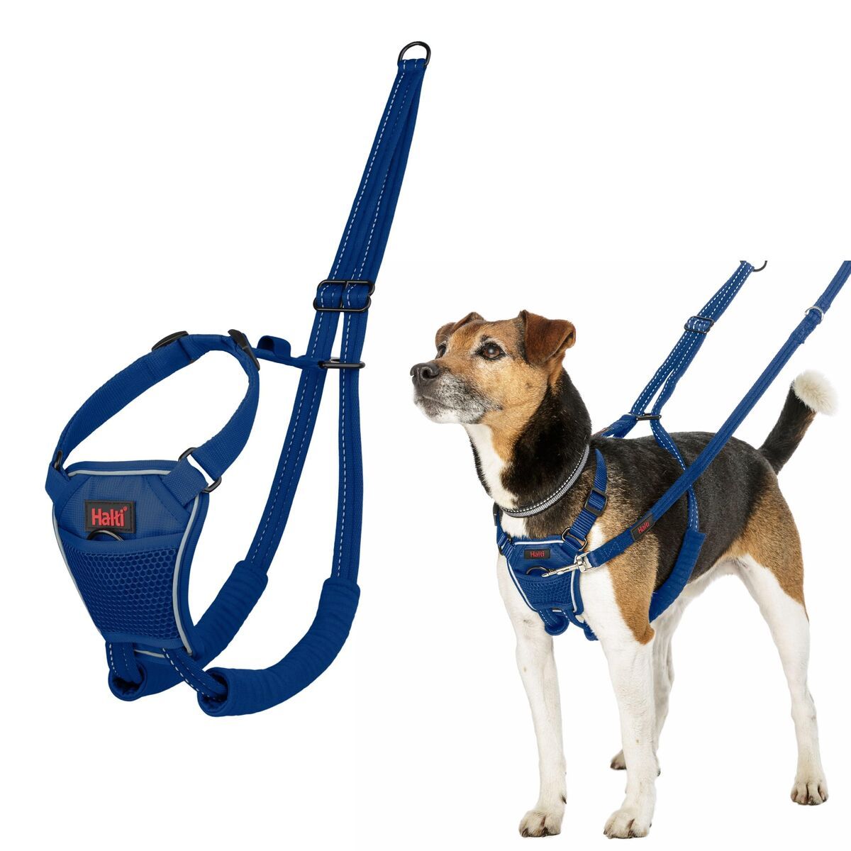 Arnés para Perro Company of Animals Blue 20