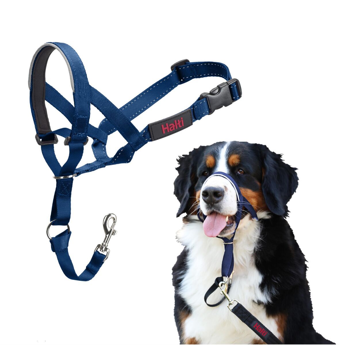 Bozal Company of Animals COBALT Azul 4