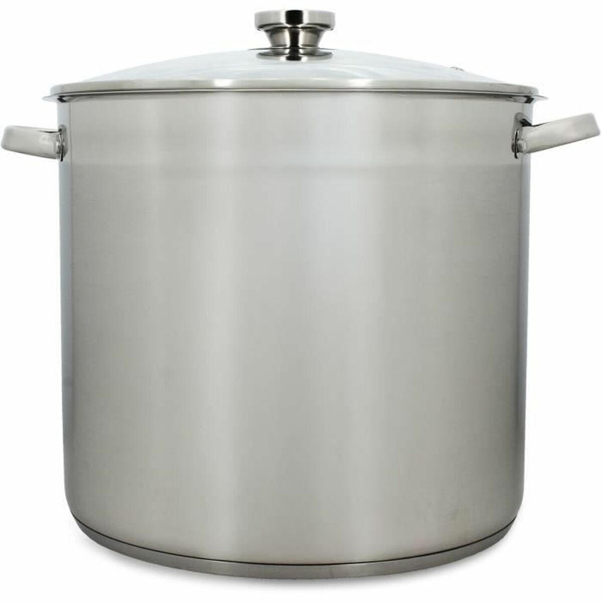 Olla con Tapa Menastyl Acero Acero Inoxidable