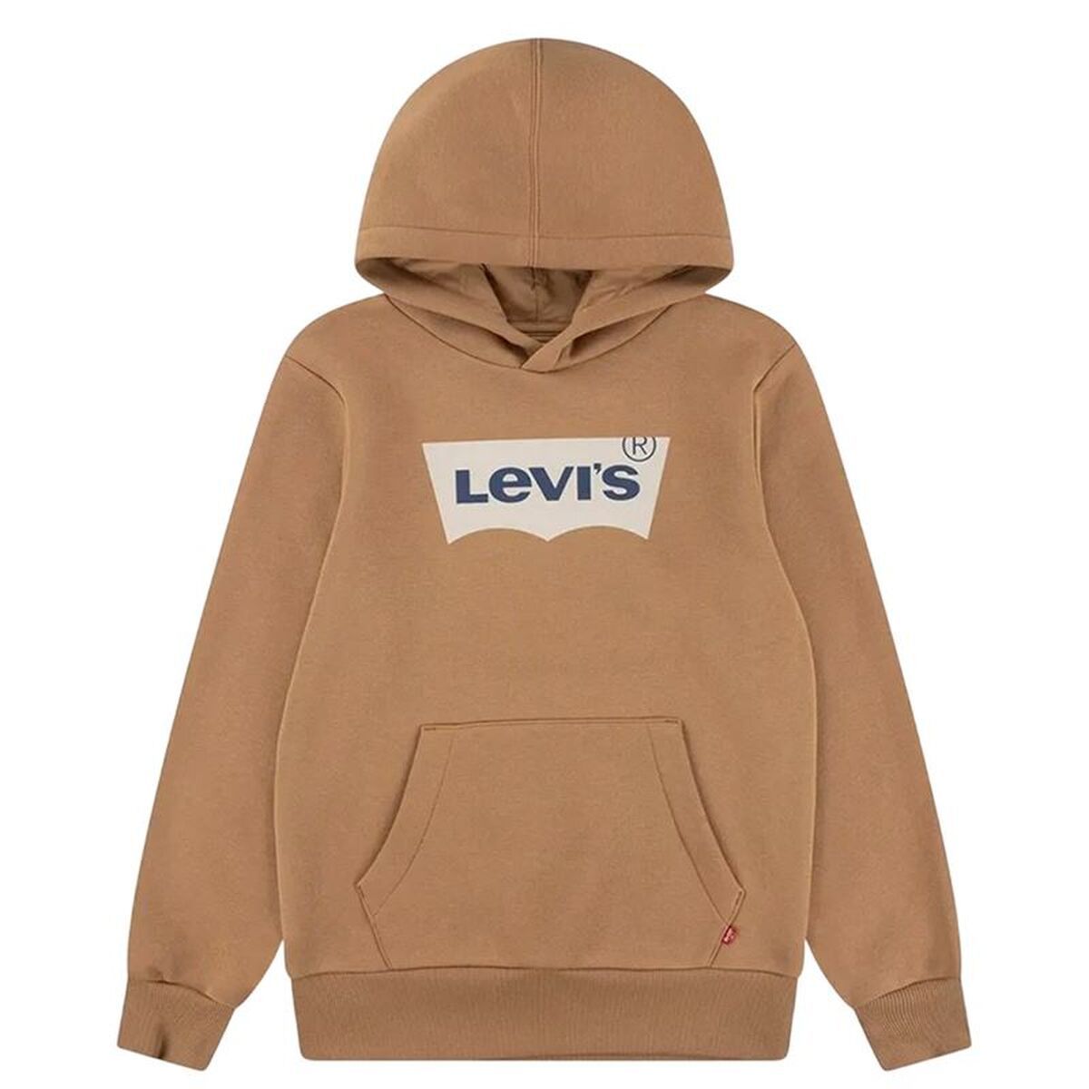 Sudadera con Capucha Niño Levi's Batwing Screenprint Hoodie Marrón