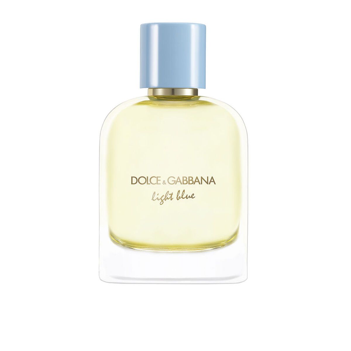 Perfume Unisex Dolce & Gabbana LIGHT BLUE POUR HOMME 100 ml