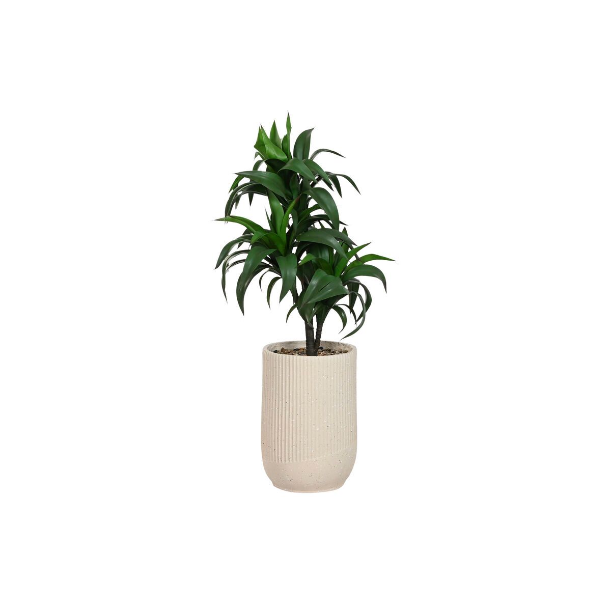 Planta Decorativa Home ESPRIT Resina Polietileno 50 x 50 x 102 cm