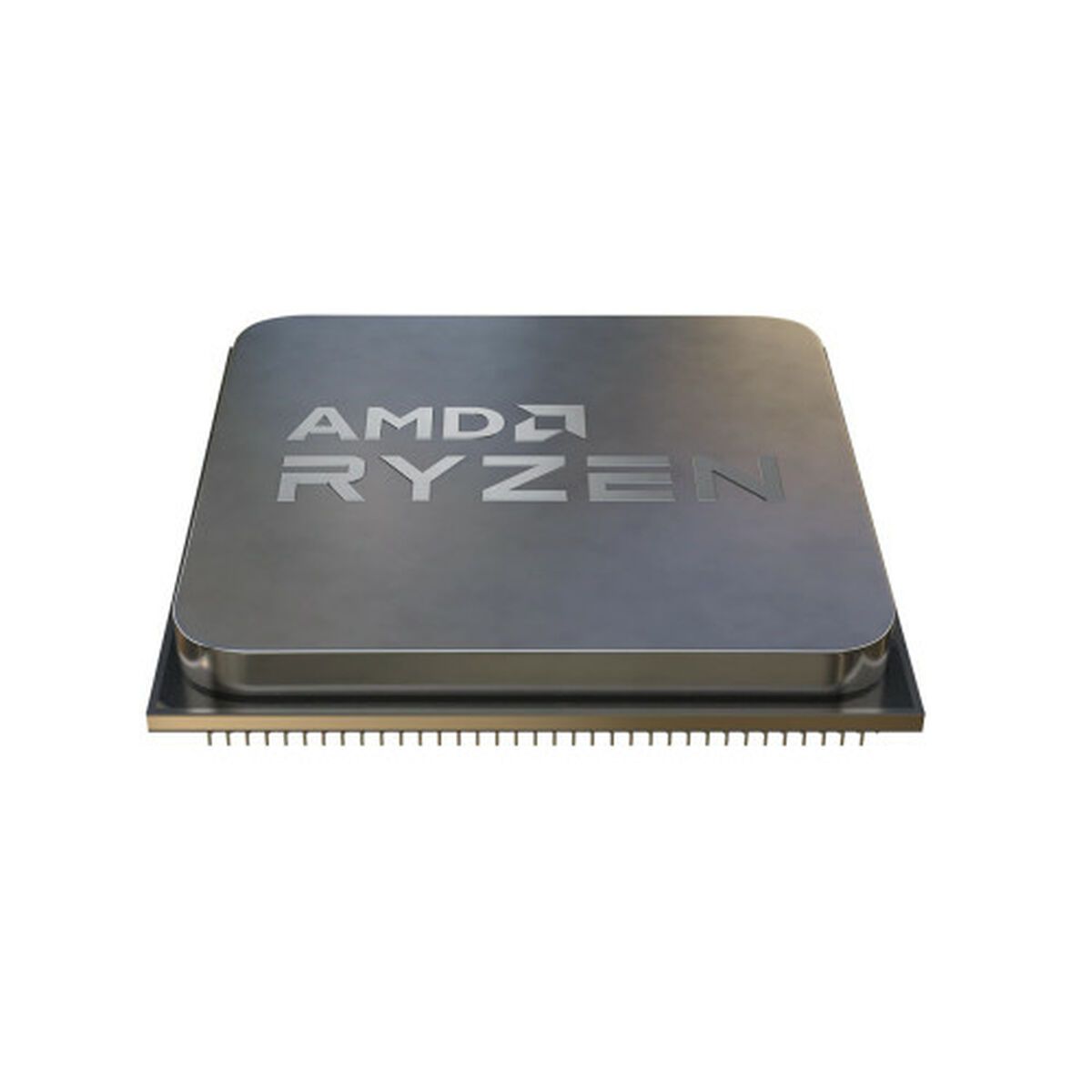 Procesador AMD 100-000000718