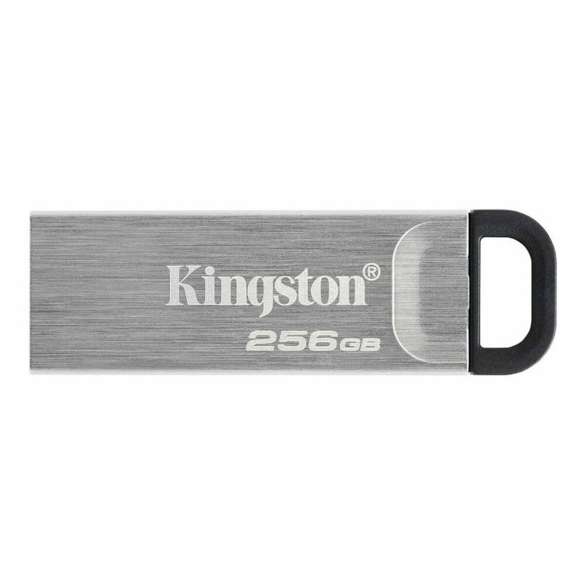 Memoria USB Kingston Negro 256 GB