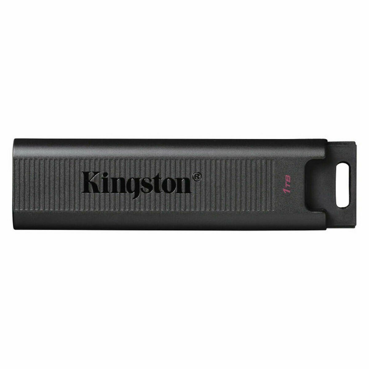 Memoria USB Kingston DTMAX/1TB Negro