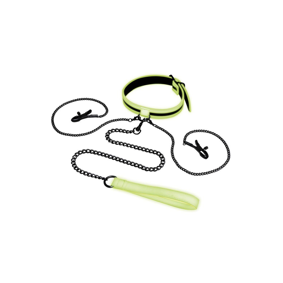 Collar con Correa Whipsmart
