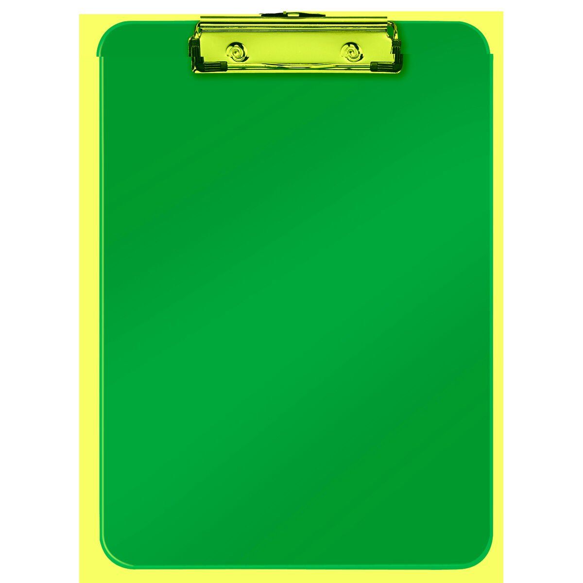 Carpeta Leitz