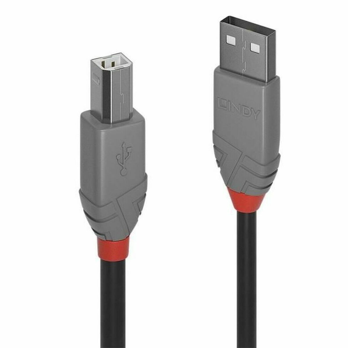 Cable USB A a USB B LINDY Gris 3 m
