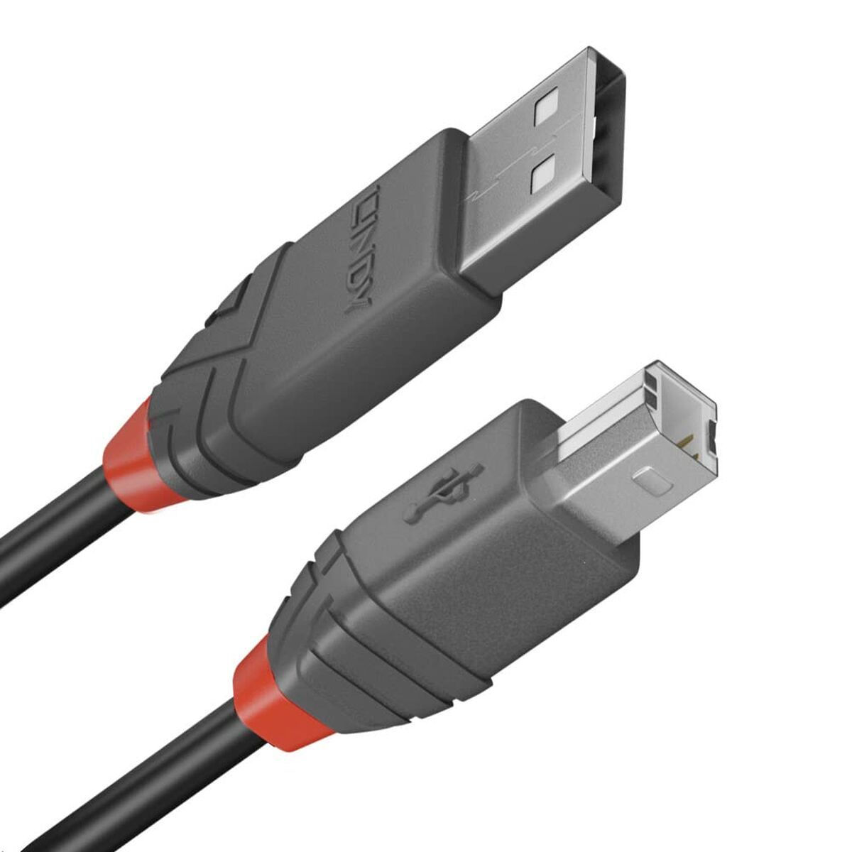 Cable USB A a USB B LINDY Negro 5 m (1 unidad)