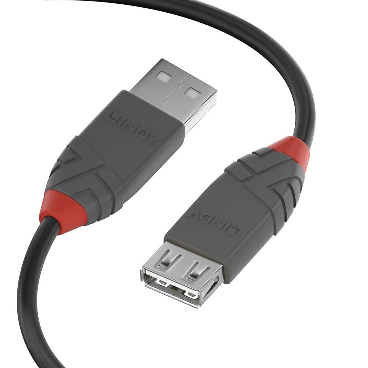 Cable DisplayPort LINDY Negro 2 m