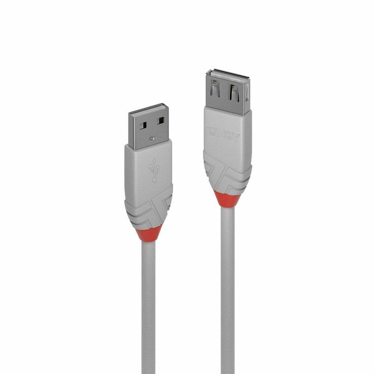 Cable USB LINDY Negro 2 m