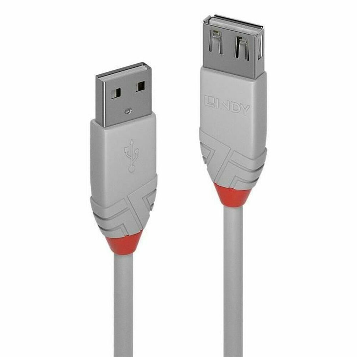 Cable USB 2.0 LINDY 3 m Gris