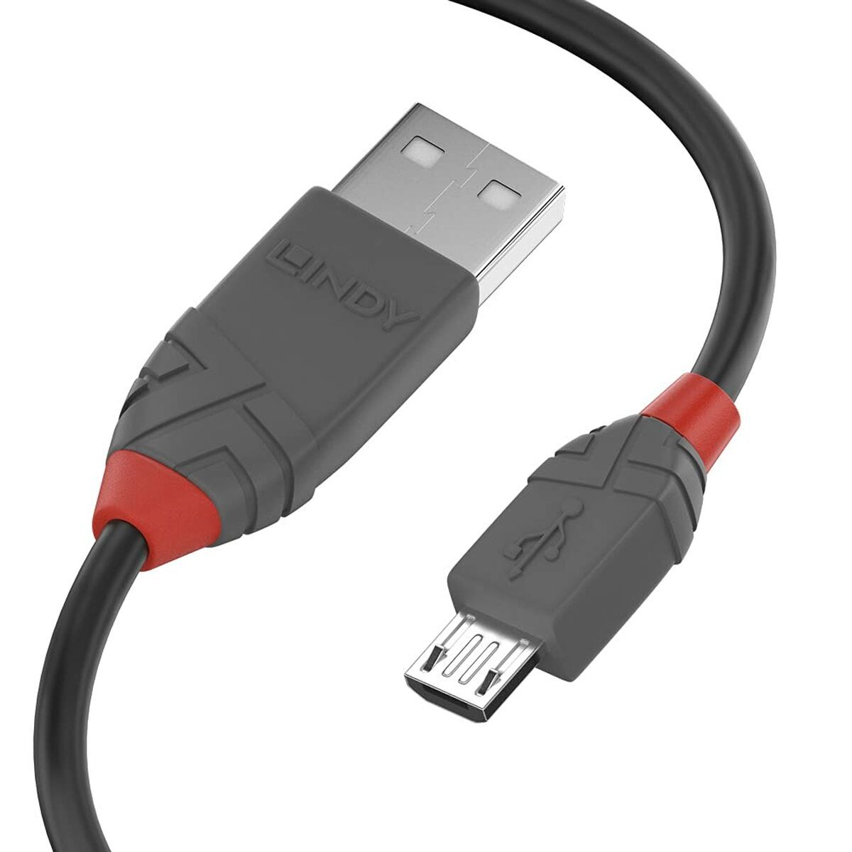 Cable USB LINDY Negro 1 m