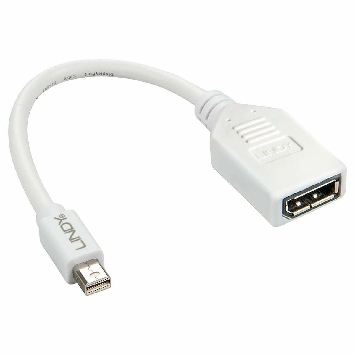 Adaptador Mini DisplayPort a DisplayPort LINDY Blanco 5 m