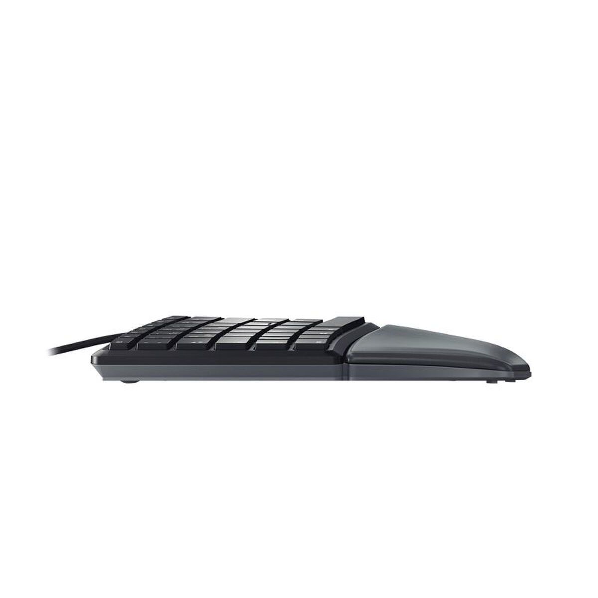 Teclado Cherry JK-4500ES-2 Qwerty Español Negro Español