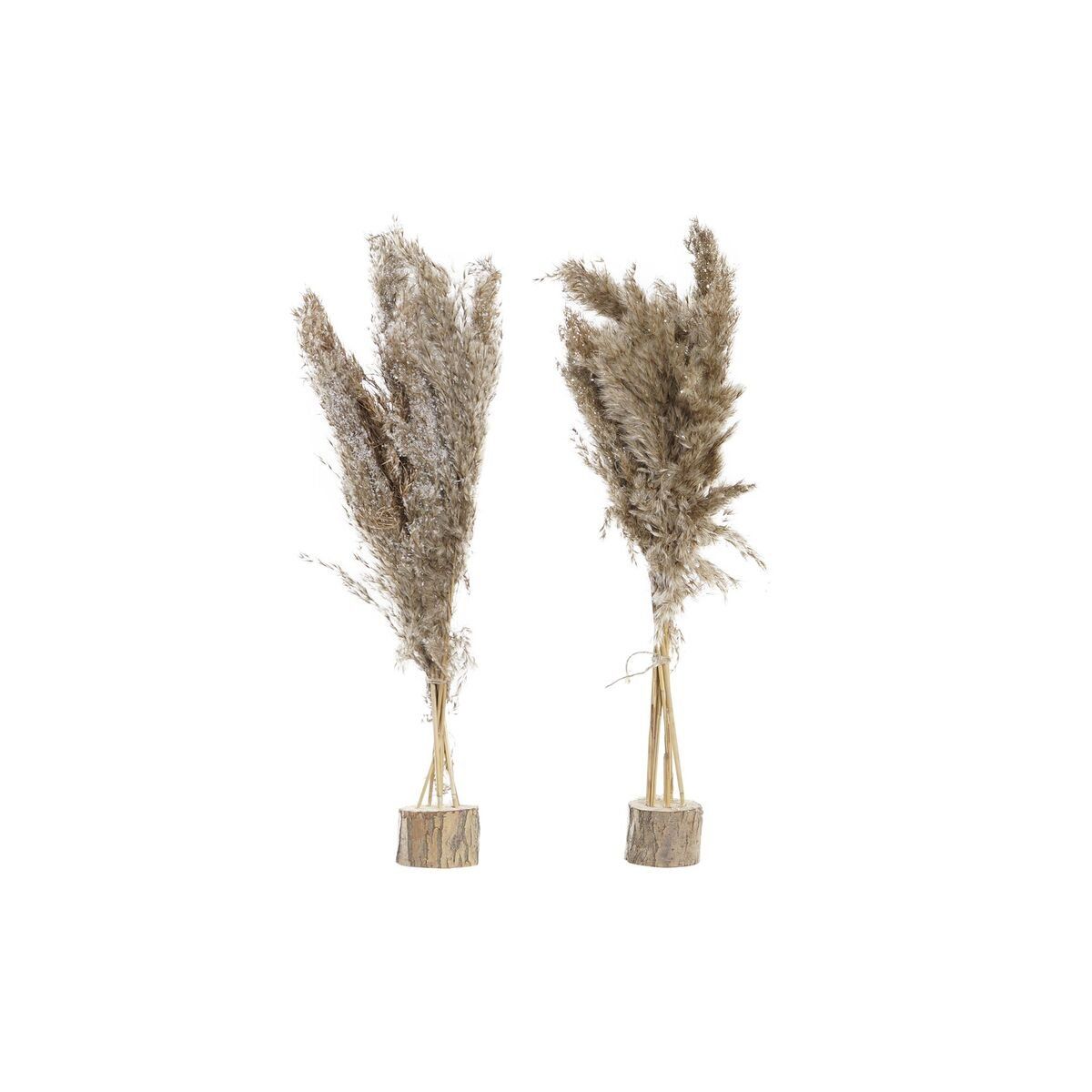 Planta Decorativa DKD Home Decor PVC Plumas Natural 35 x 25 x 55 cm (2 Unidades)