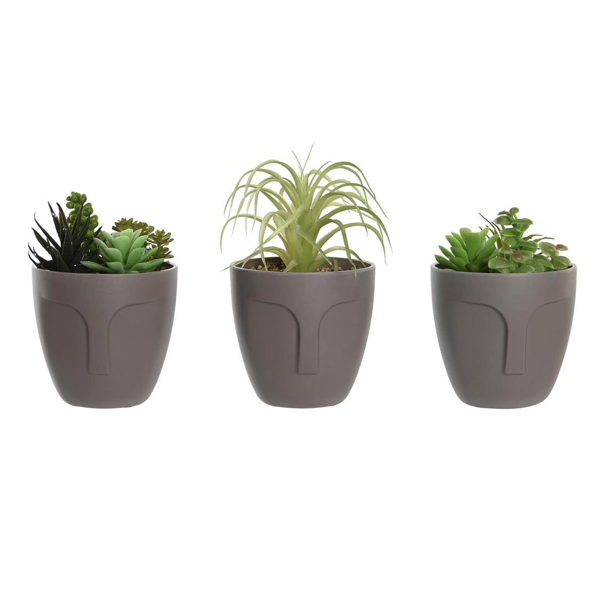 Planta Decorativa DKD Home Decor Gris Beige Polietileno Verde Polipropileno (11 x 11 x 15 cm) (3 Unidades)