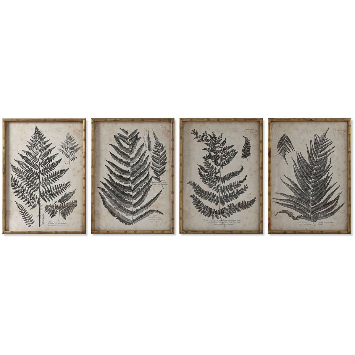 Cuadro Home ESPRIT Cristal Abeto 50 x 3 x 70 cm 50 x 2,5 x 70 cm