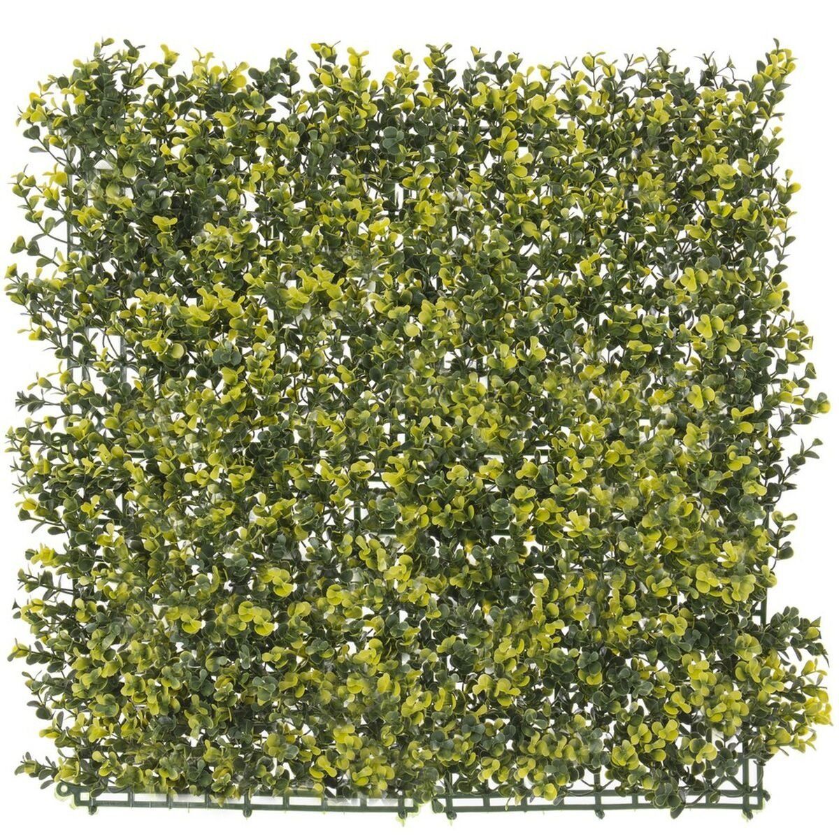 Valla 50 x 50 x 2 cm