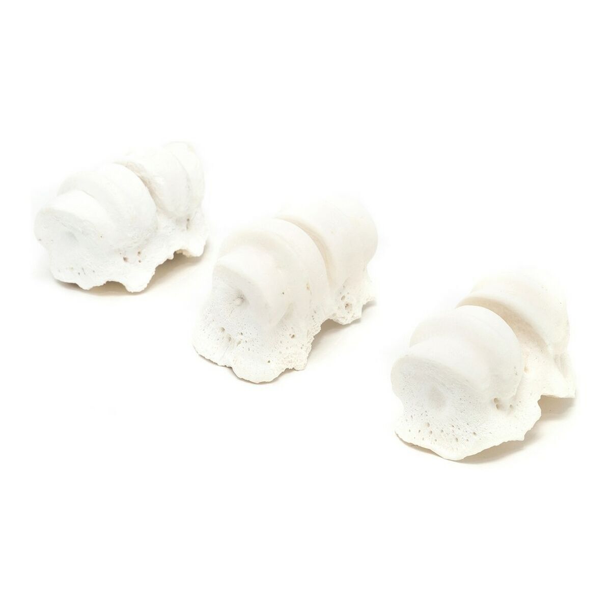 Snack para Perros Gloria Ternera Calcio Nudillos