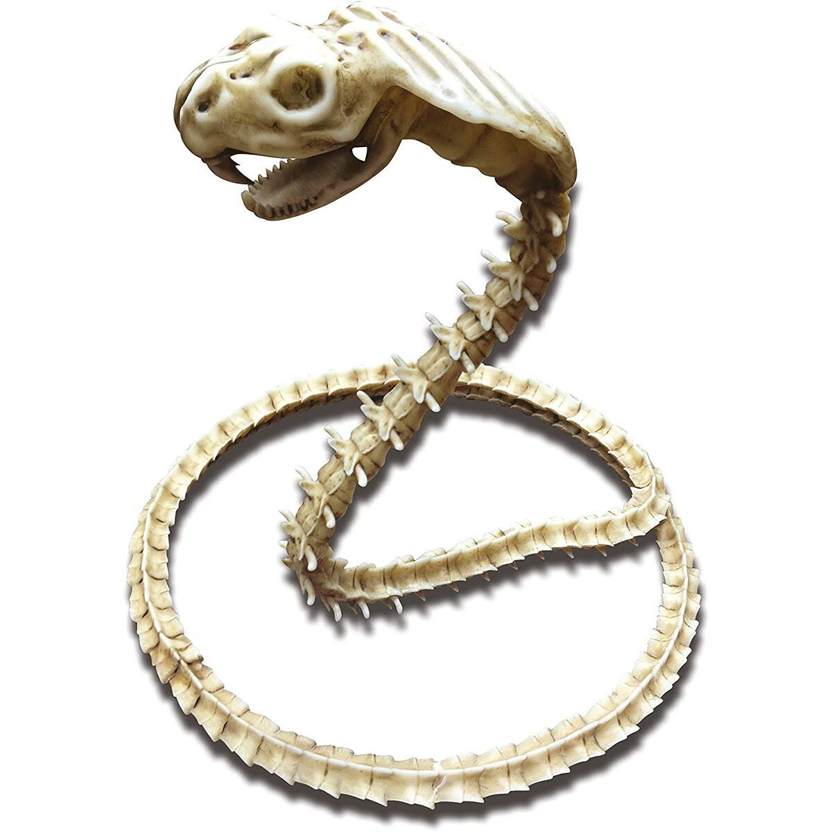 Accesorio para Disfraz My Other Me Esqueleto Cobra