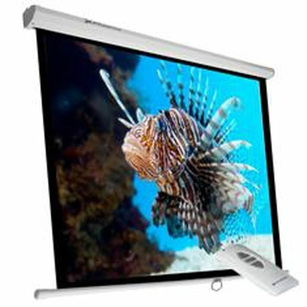 Pantalla de Proyección Phoenix PHPANTALLA-ELEC240