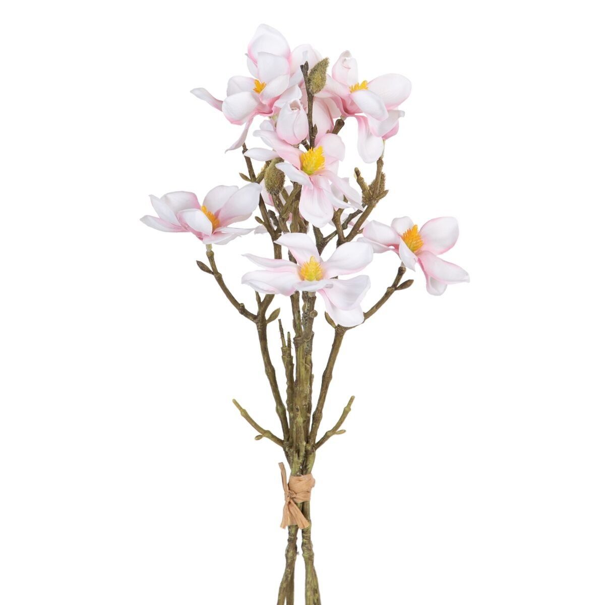 Flores Decorativas Verde Rosa 37 x 20 x 41 cm Magnolia