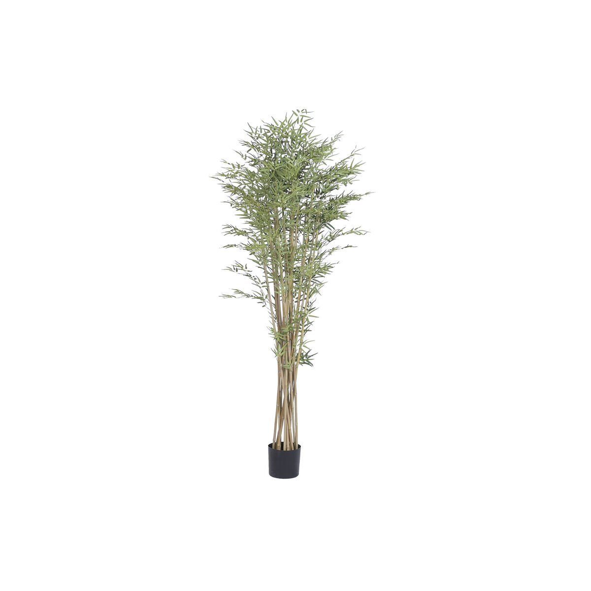 Planta Decorativa Home ESPRIT Madera Polietileno Oriental