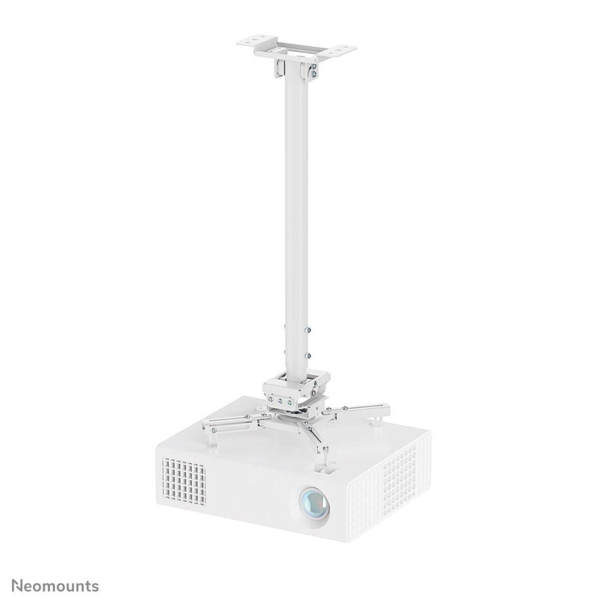 Soporte de Mesa para Pantalla Neomounts CL25-550WH1